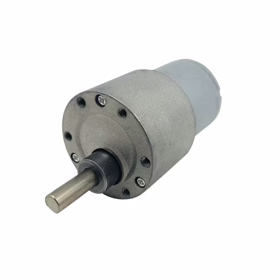 12V 24V 180rpm Micro DC Gear Motor 10 1 120 1 Reduction Ratio