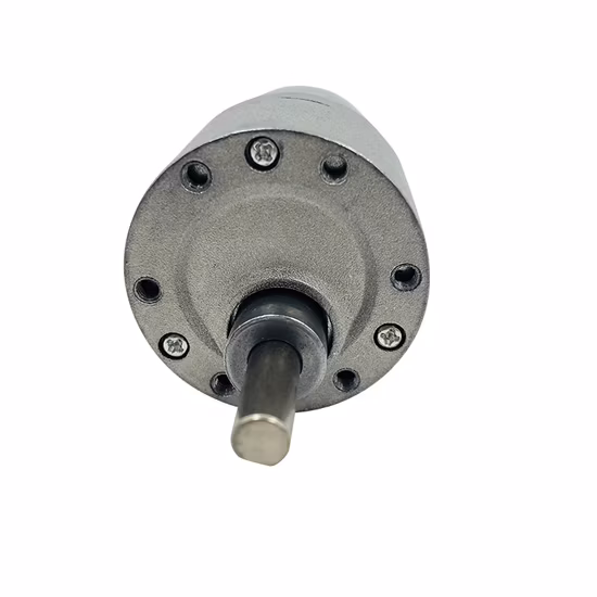 12V 24V 180rpm Micro DC Gear Motor 10 1 120 1 Reduction Ratio
