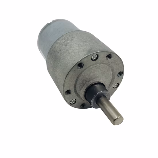 12V 24V 180rpm Micro DC Gear Motor 10 1 120 1 Reduction Ratio